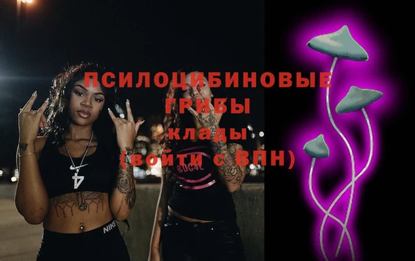 мяу мяу мука Гусев