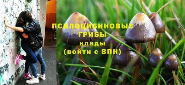 мяу мяу мука Гусев